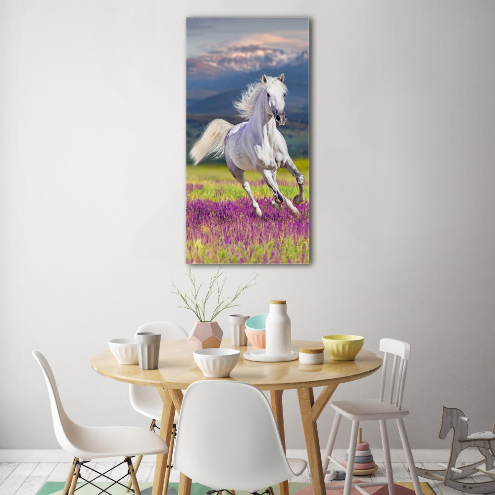 Wall art acrylic White horse at a gallop