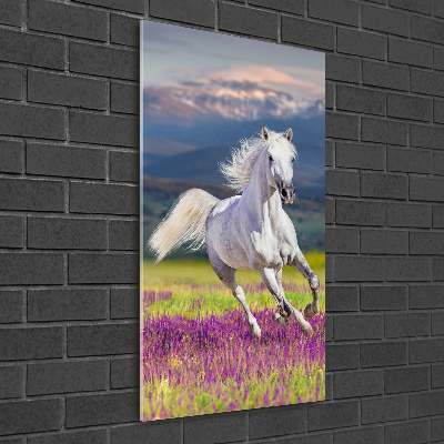 Wall art acrylic White horse at a gallop