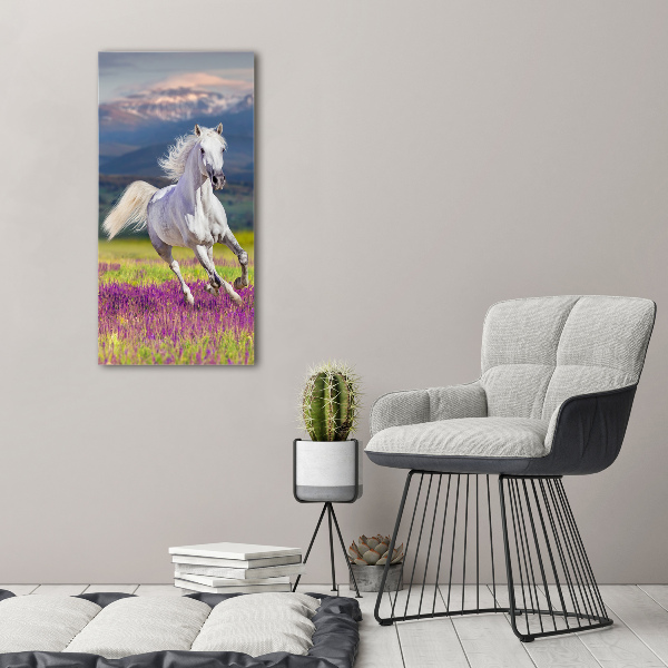 Wall art acrylic White horse at a gallop