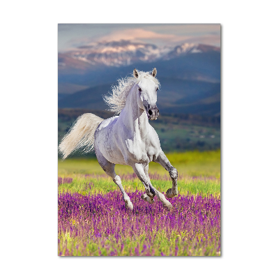 Wall art acrylic White horse at a gallop