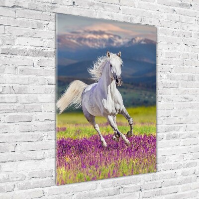 Wall art acrylic White horse at a gallop