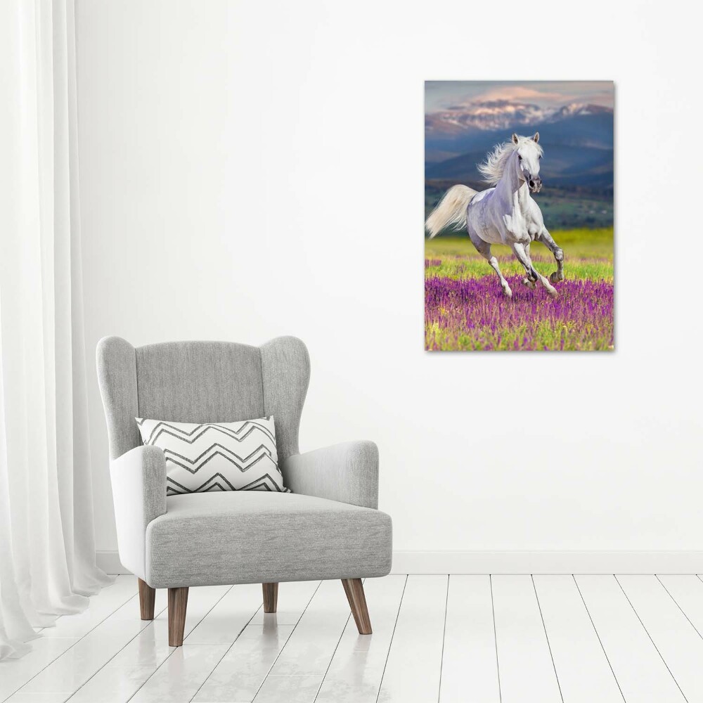 Wall art acrylic White horse at a gallop