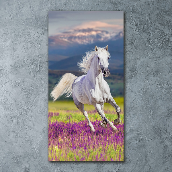 Wall art acrylic White horse at a gallop