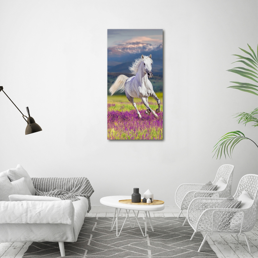 Wall art acrylic White horse at a gallop