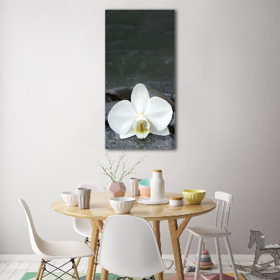 Acrylic glass print Orchid stones