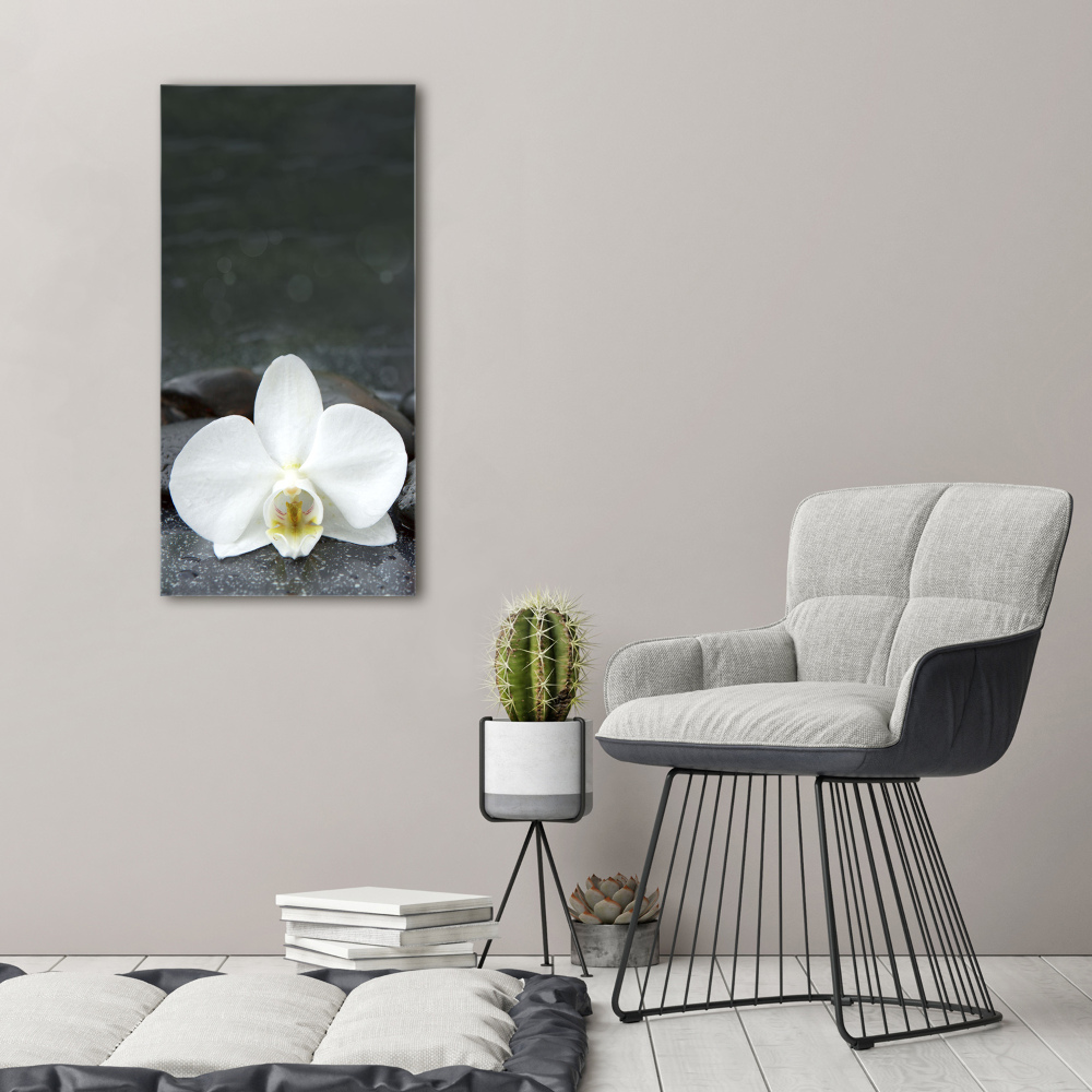 Acrylic glass print Orchid stones