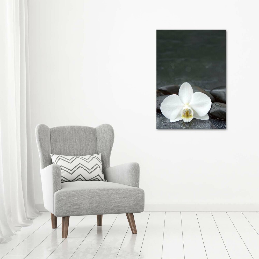 Acrylic glass print Orchid stones