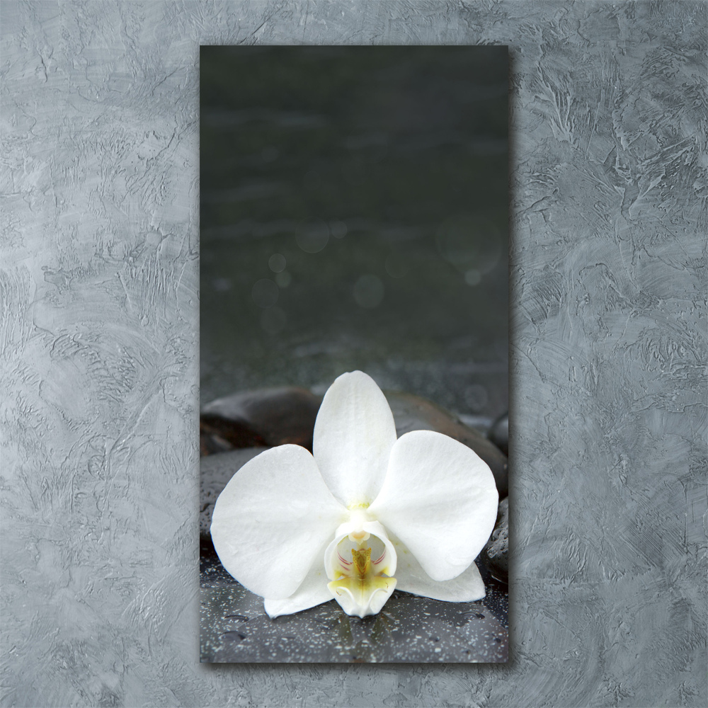 Acrylic glass print Orchid stones