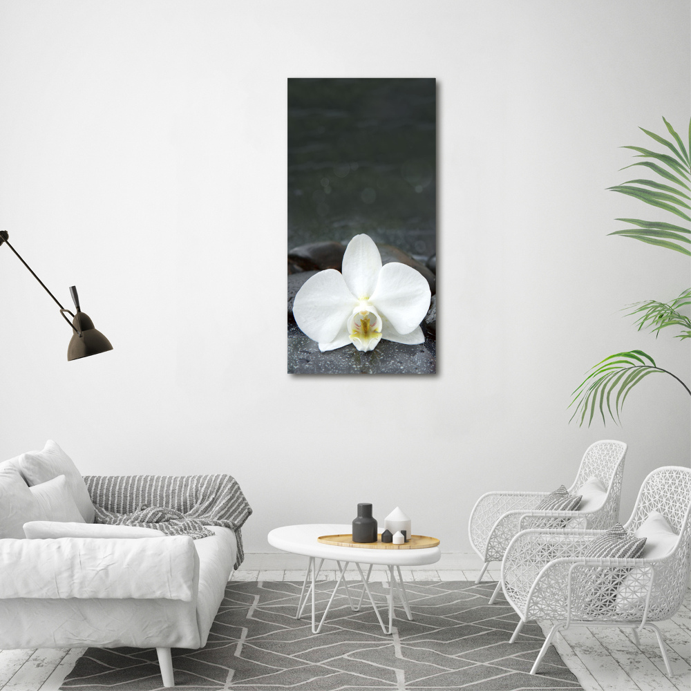 Acrylic glass print Orchid stones