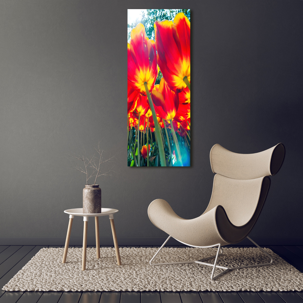 Print on acrylic glass Red tulips