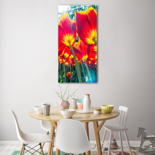 Print on acrylic glass Red tulips