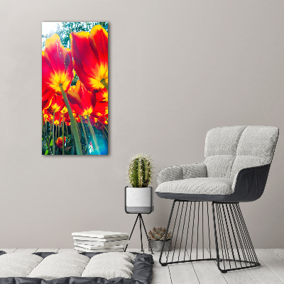 Print on acrylic glass Red tulips