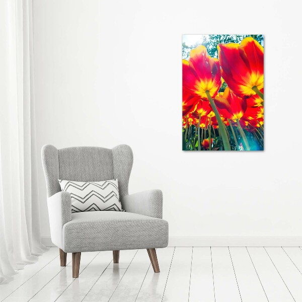 Print on acrylic glass Red tulips