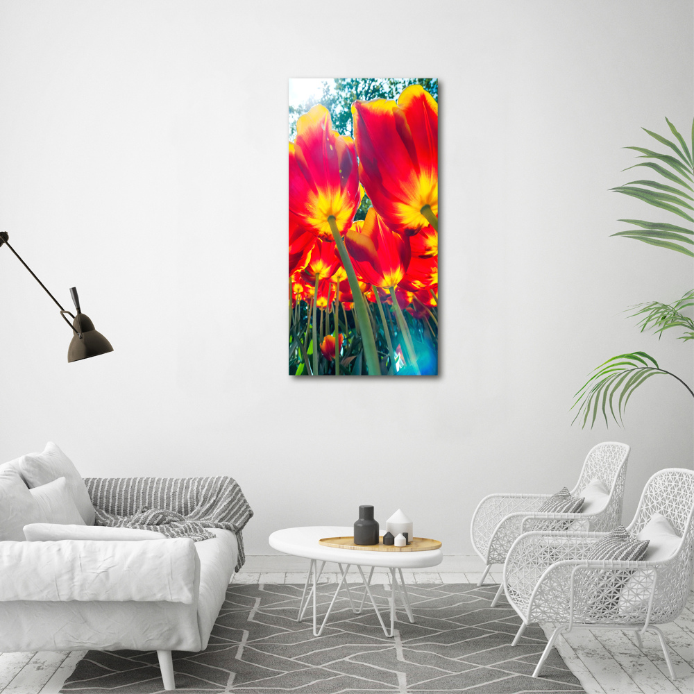 Print on acrylic glass Red tulips