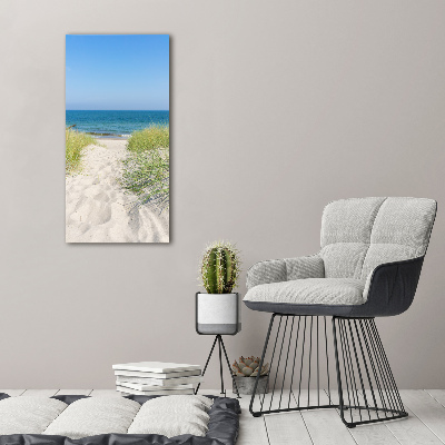 Acrylic print Coastal dunes