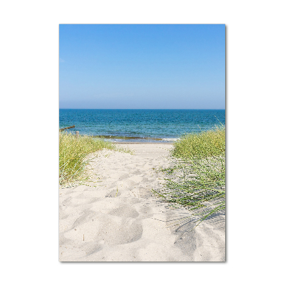 Acrylic print Coastal dunes