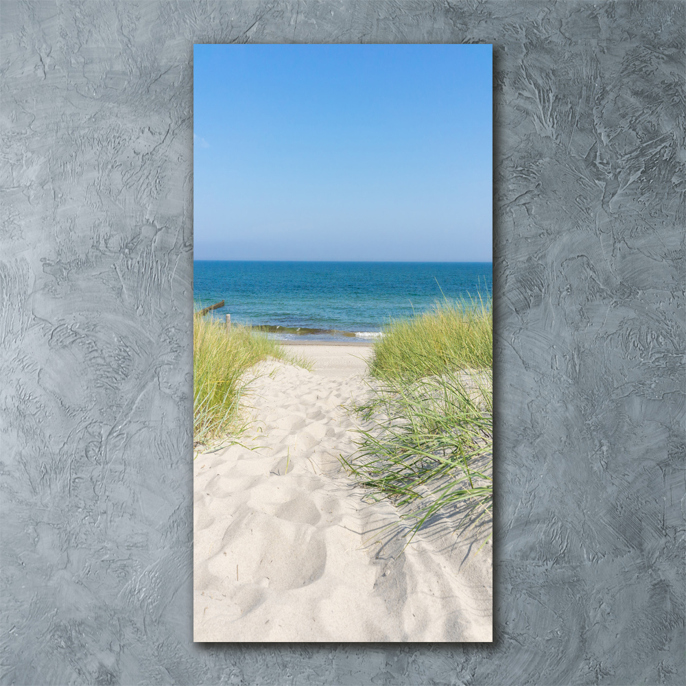 Acrylic print Coastal dunes