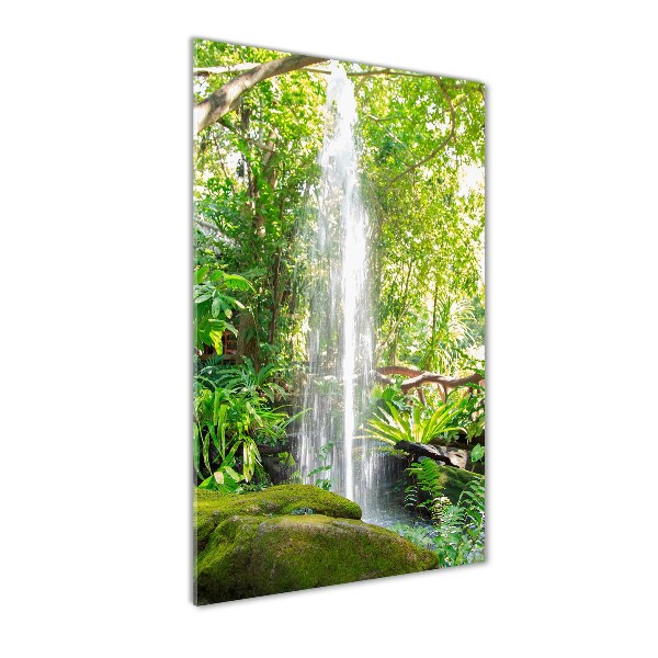 Acrylic print Waterfall in the jungle