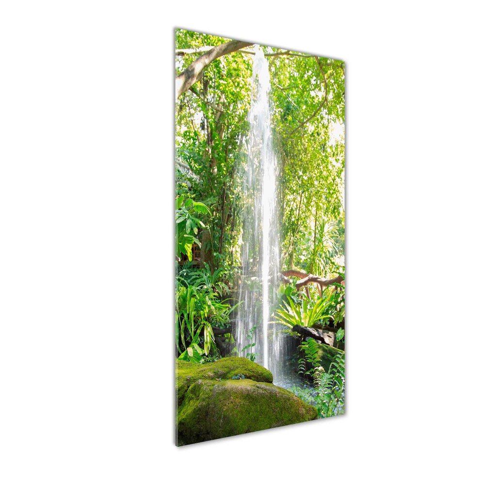 Acrylic print Waterfall in the jungle