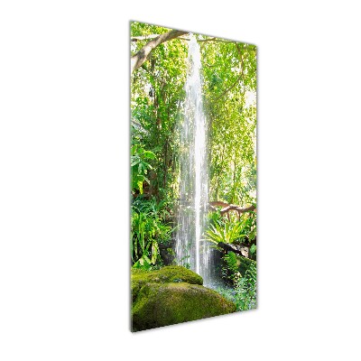 Acrylic print Waterfall in the jungle