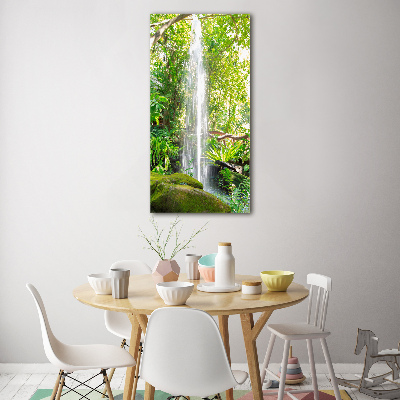 Acrylic print Waterfall in the jungle