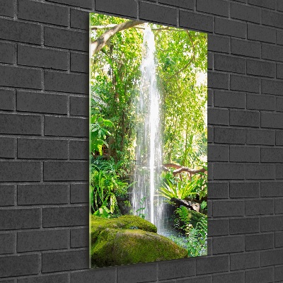 Acrylic print Waterfall in the jungle