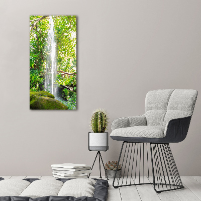 Acrylic print Waterfall in the jungle