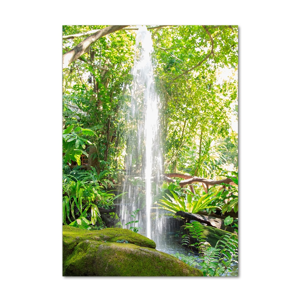 Acrylic print Waterfall in the jungle