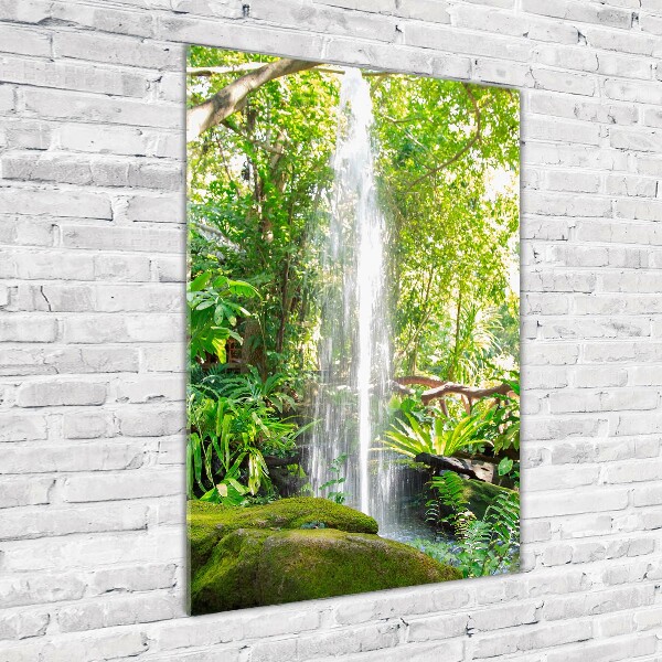 Acrylic print Waterfall in the jungle