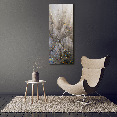 Acrylic glass print Dandelion seeds