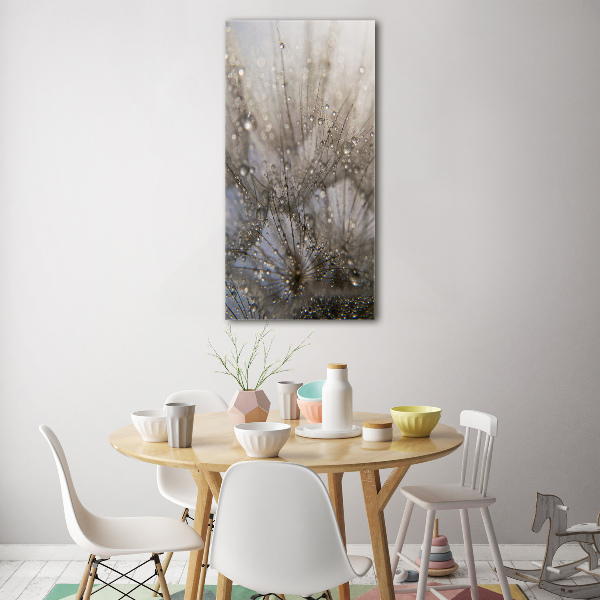 Acrylic glass print Dandelion seeds