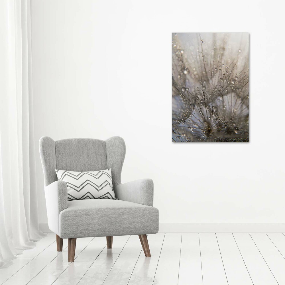 Acrylic glass print Dandelion seeds