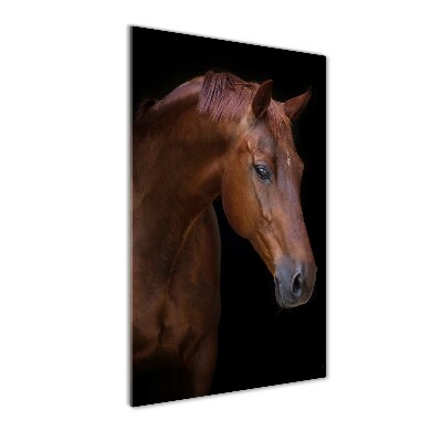 Wall art acrylic Portrait of a horse