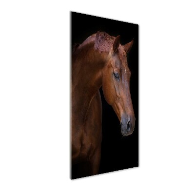 Wall art acrylic Portrait of a horse