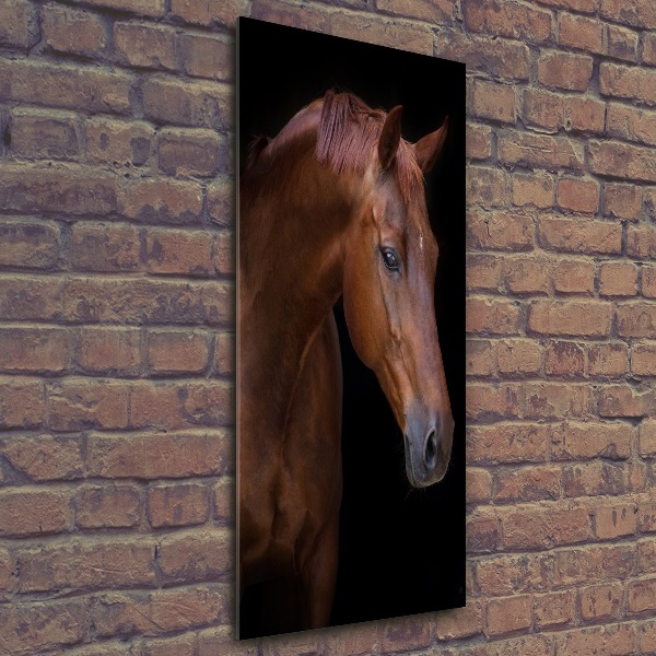 Wall art acrylic Portrait of a horse