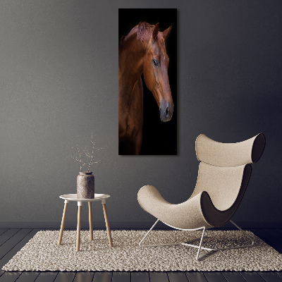 Wall art acrylic Portrait of a horse