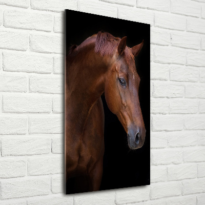 Wall art acrylic Portrait of a horse