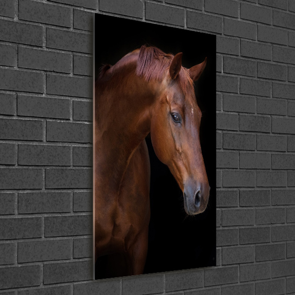 Wall art acrylic Portrait of a horse