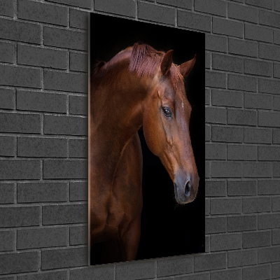 Wall art acrylic Portrait of a horse