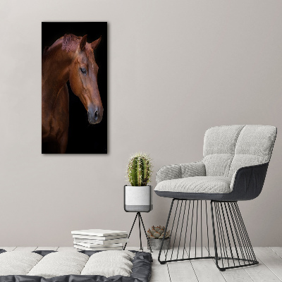 Wall art acrylic Portrait of a horse