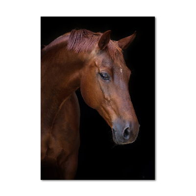 Wall art acrylic Portrait of a horse