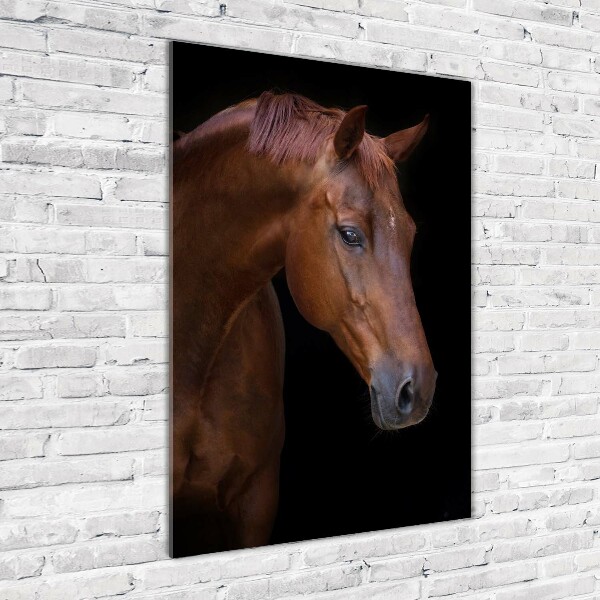 Wall art acrylic Portrait of a horse