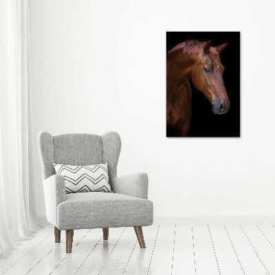 Wall art acrylic Portrait of a horse