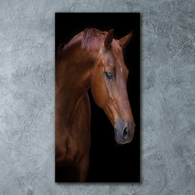 Wall art acrylic Portrait of a horse