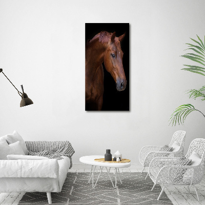 Wall art acrylic Portrait of a horse