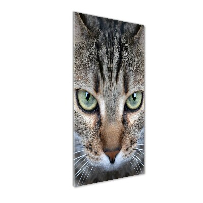 Wall art acrylic Cat's eyes