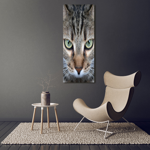 Wall art acrylic Cat's eyes