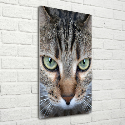 Wall art acrylic Cat's eyes