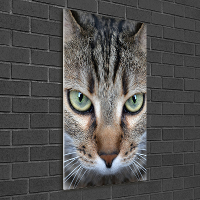 Wall art acrylic Cat's eyes