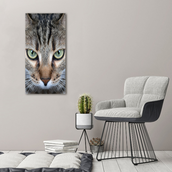 Wall art acrylic Cat's eyes